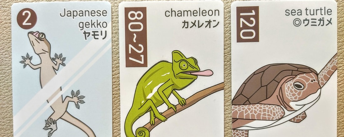 Cards of Reptiles